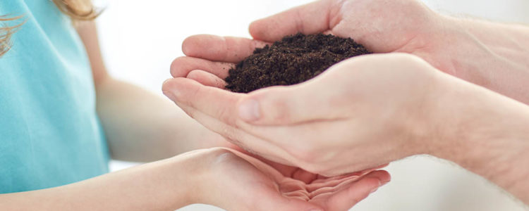 people, charity, family and legacy concept - close up of father and girl holding soil in cupped hands at home